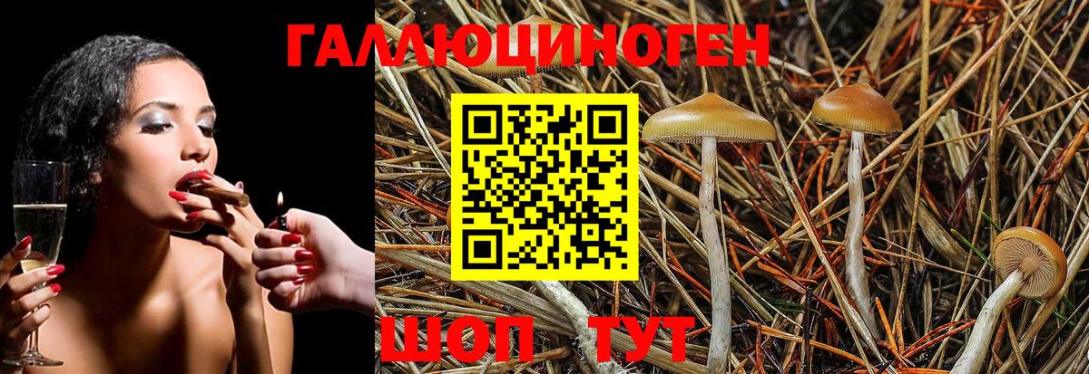 Севастополь  Галлюциногенные грибы Magic Shrooms  Вход с VPN  Псилоцибиновые грибы GOLDEN TEACHER 